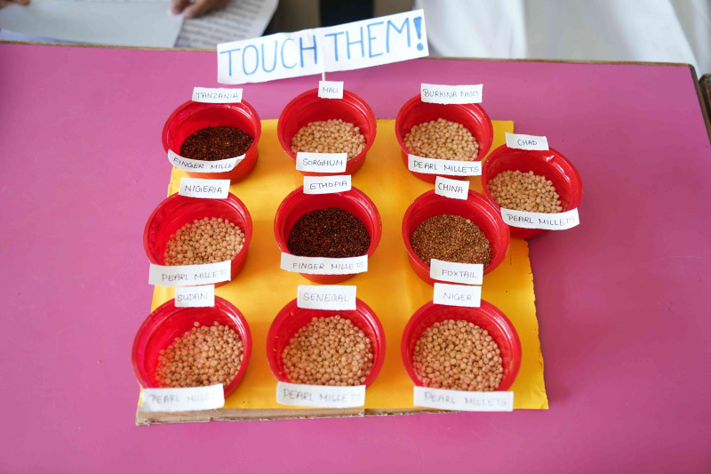 Poshan Pakhwada-Shree Ann, the Millet Fair