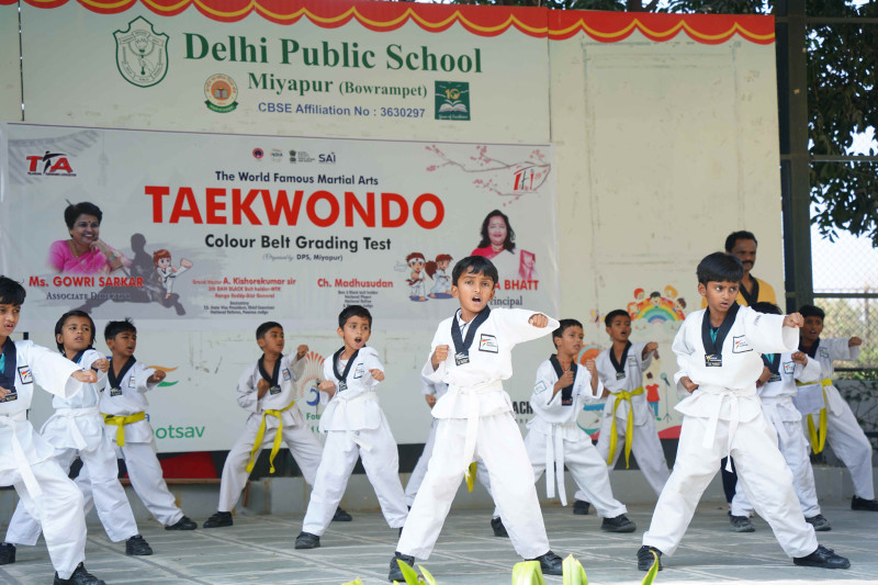 Taekwondo Colour Belt Grading Test